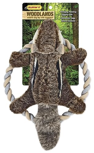 Ruffin' It Plush Chipmunk Dog Toy with Rope Chew Ring, 8.5 Inch, Multi, All Breed Sizes