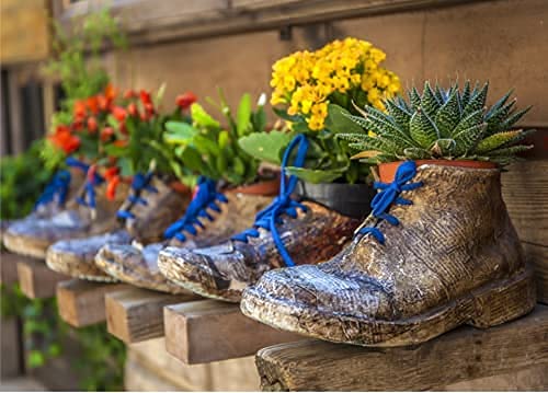 Puzelworx 1000 Piece Jigsaw Puzzle Educational Puzzle Family Game Gift For Adults And Kids (Shoe Flower Pot)