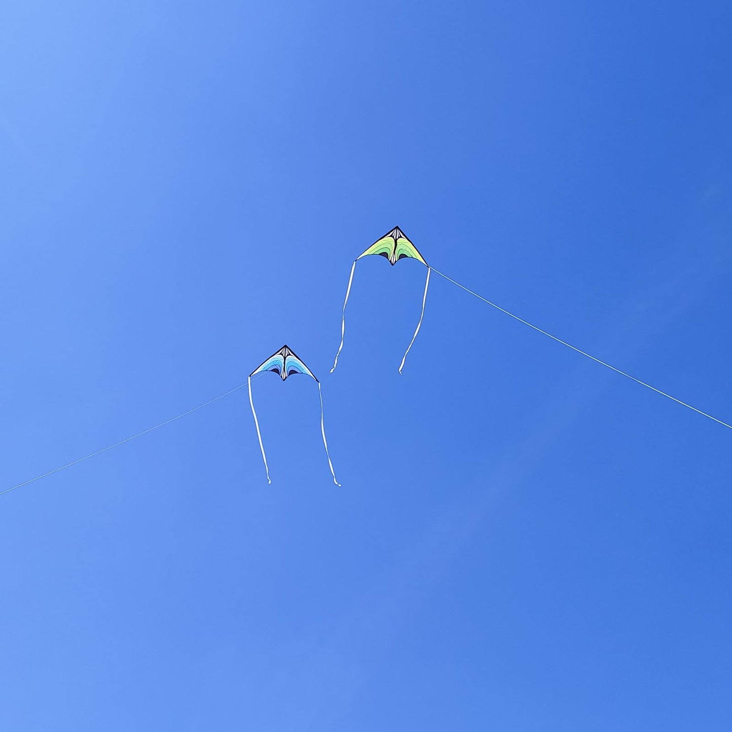 Simxkai Large Delta Kite For Kids & Adults, Easy To Fly For Boys & Girls, For Beginners Handle Included (Green)