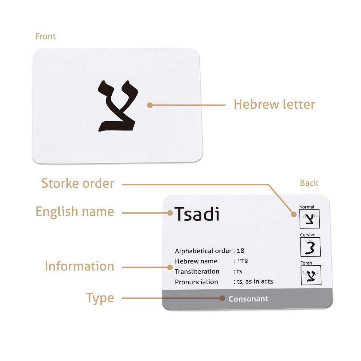 Carddia | Biblical Hebrew Alphabet Educational Flashcards | Includes Consonants, Vowels, Dagesh, And Final Forms