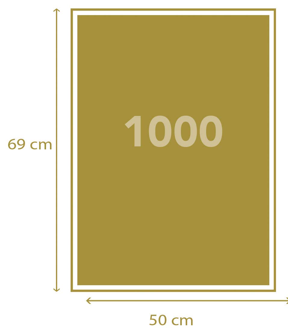 Clementoni Walk Of The Jaguar 1000 Piece Jigsaw Puzzle For Adults