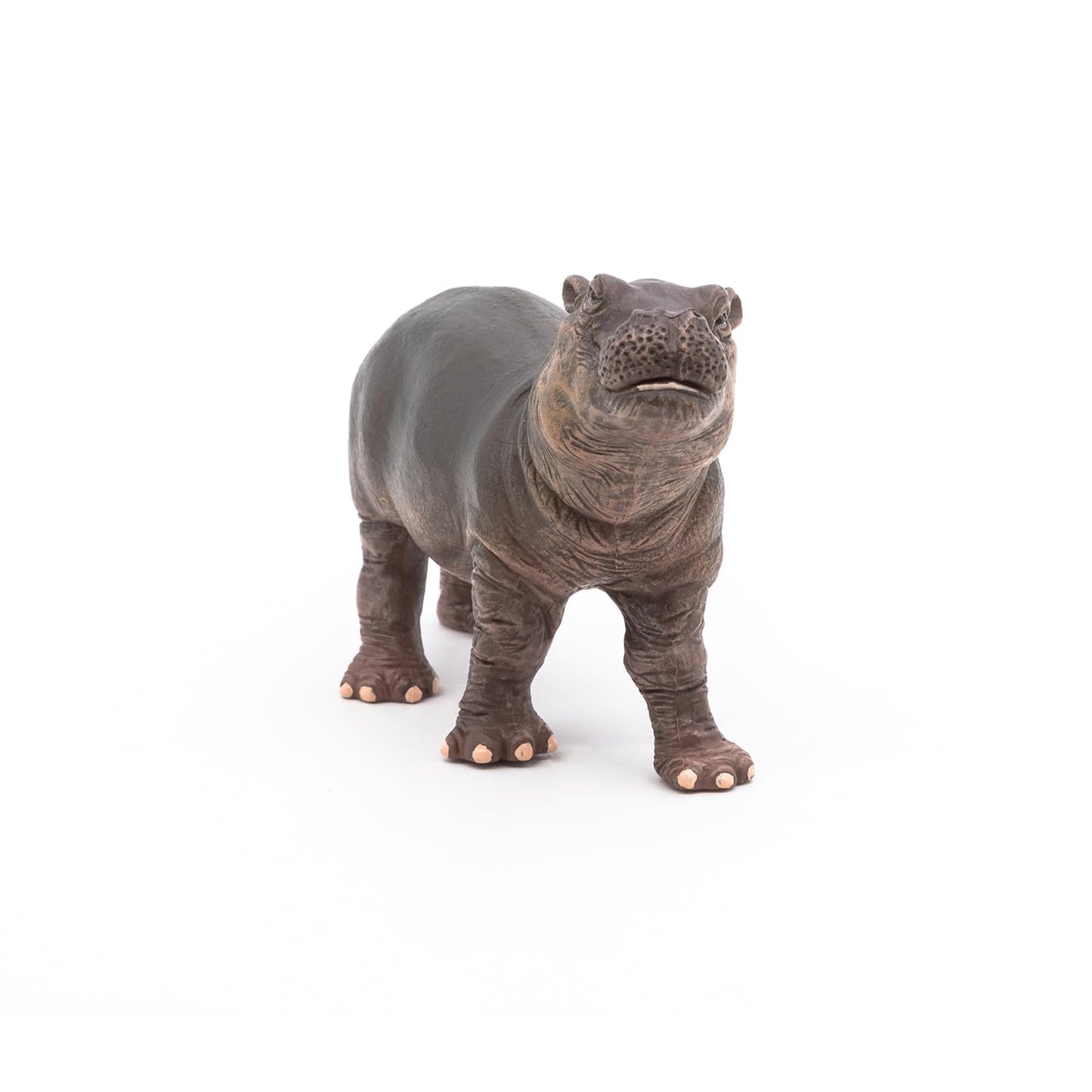 Papo -Hand-Painted - Figurine -Wild Animal Kingdom - Hippopotamus Calf -50052 -Collectible - For Children - Suitable For Boys And Girls- From 3 Years Old