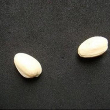 Momomage Pistachio Nuts Through Glass Cup Magic Tricks Funny Close Up Magic Penetration Magic Mentalism Illusion Gimmick Props M