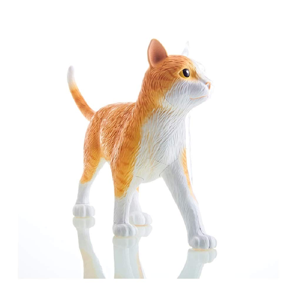 4D Vision Orange Tabby Cat Skeleton & Anatomy Model Kit