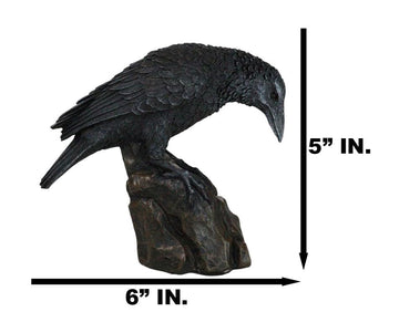Ebros Gift Gothic Macabre Edgar Poe Perching Raven On Rock Figurine 5' Tall Gothic Crow Scavenger Bird Decor Sculpture