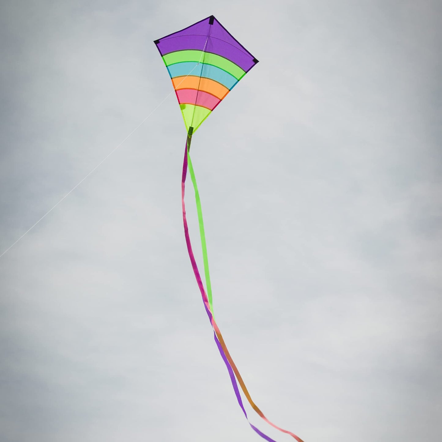 Neon Arch 27' Diamond Kite