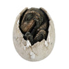 Pacific Giftware Jurassic Era Predator Tyrannosaurus Rex In Egg Dinosaur Figurine Hatchling Collectible Sculpture