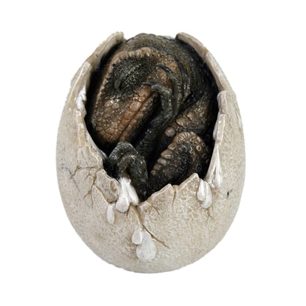Pacific Giftware Jurassic Era Predator Tyrannosaurus Rex In Egg Dinosaur Figurine Hatchling Collectible Sculpture