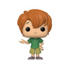 Funko Pop! Movies: Scooby Doo - Shaggy limited availability Vinyl Figure #911