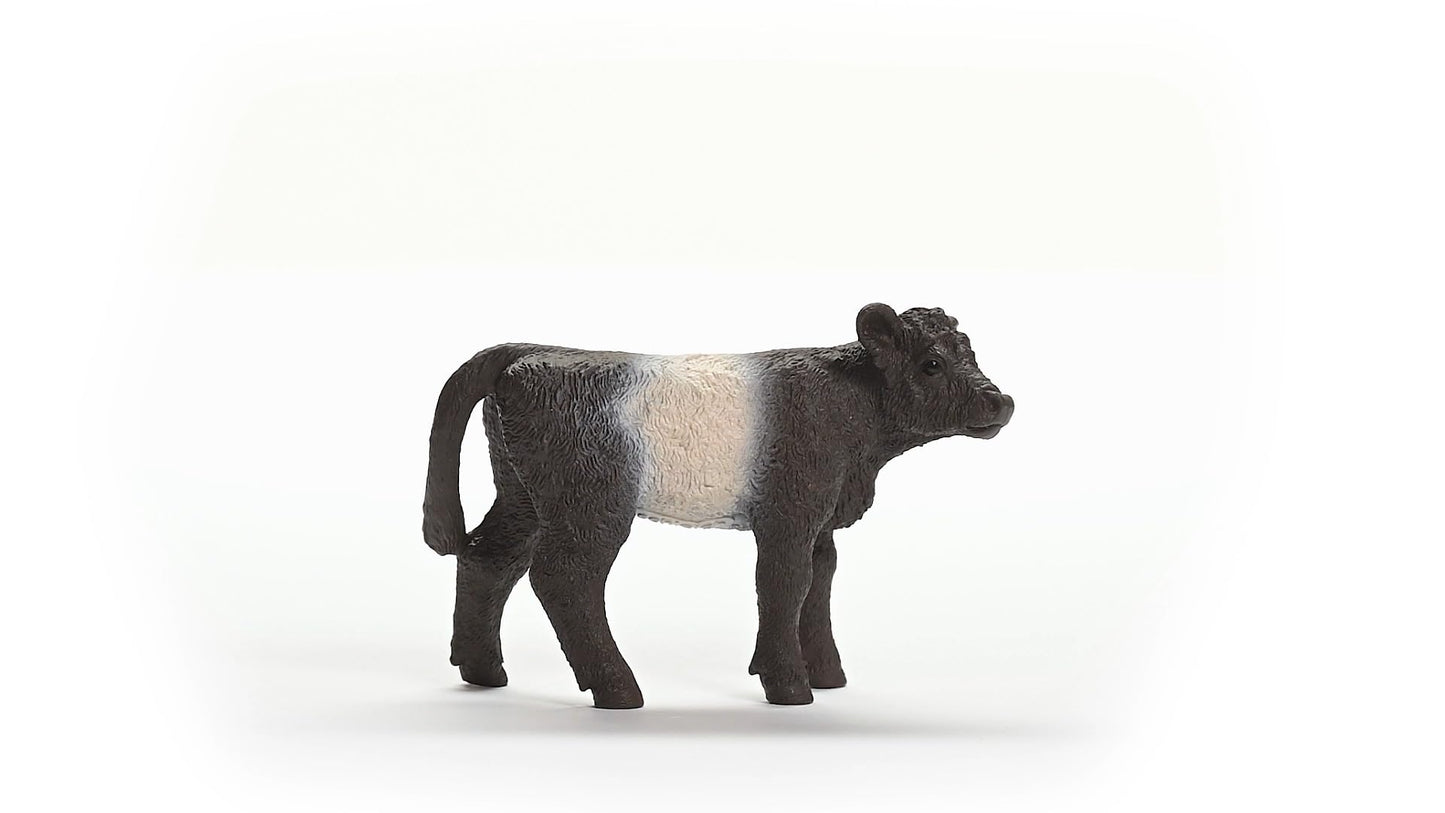 Schleich Farm World New 2024 Farm Animal Toy Galloway Calf Cow Figurine
