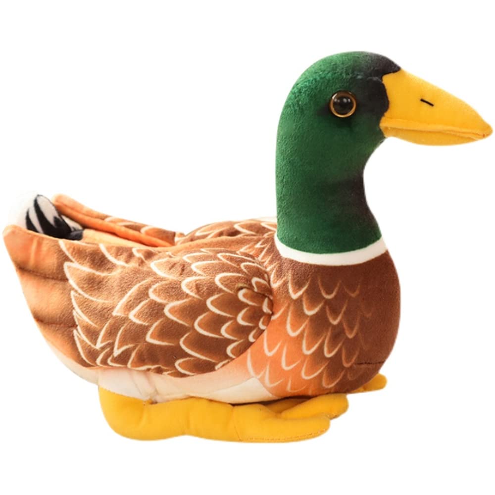 Jianeexsq Realistic Mallard Duck Plush Stuffed Animal Toy Gift For Kids (Green)