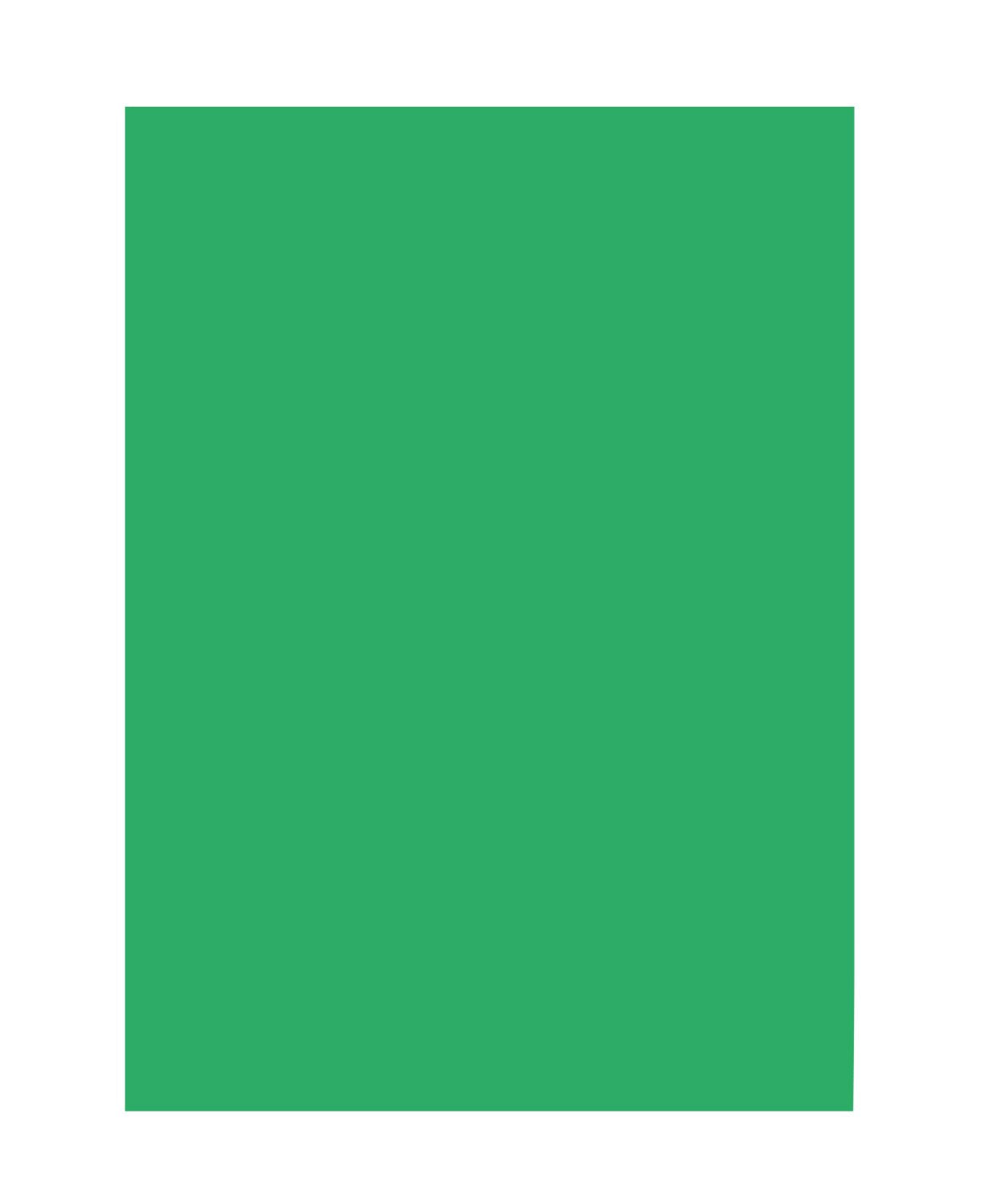 Folia 6354 Coloured Paper Emerald Green Din A3 130 G/M² 50 Sheets For Crafts And Creative Design Of Cards, Window Pictures And Scrapbooking