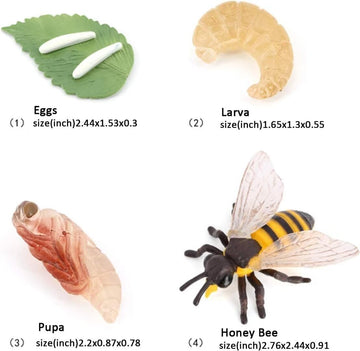 Hvogvok Bee Growth Cycle Set, Lifelike Animal Figures, Educational Kids Toy, 4-Piece Insect Model Kit For Parties
