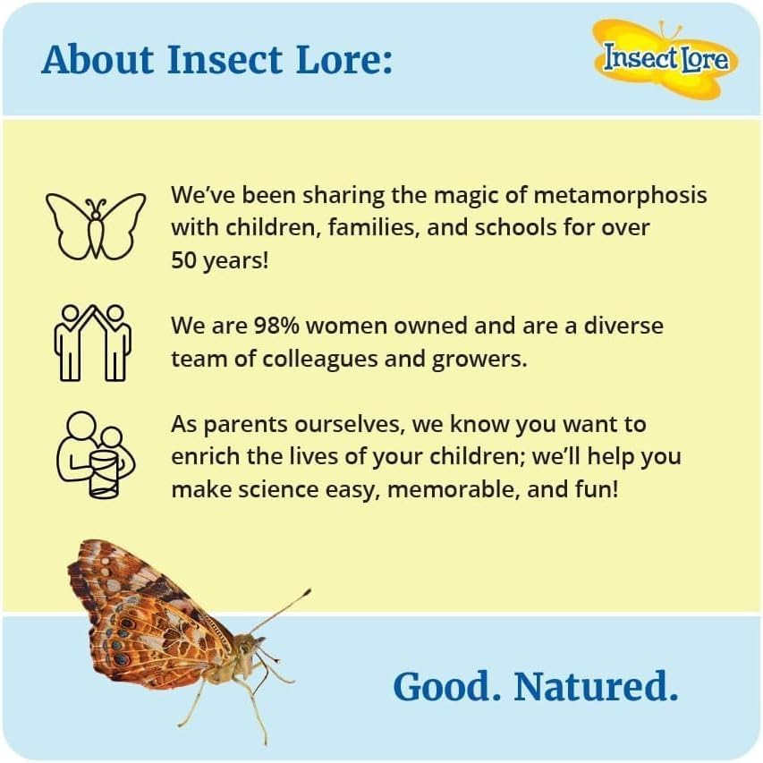 Insect Lore Two Cups Of Live Caterpillars | Painted Lady Butterflies | Includes 2 Chrysalis Holding Logs | 10 Live Baby Caterpillars | Refill For Habitats And Kits