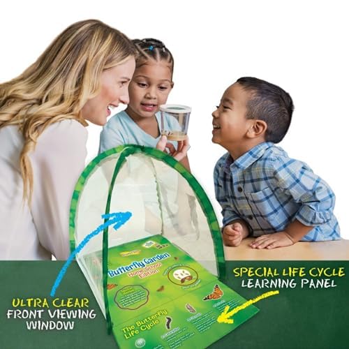 Insect Lore Butterfly Garden Experience | No Fee Prepaid Voucher | Redeem Raise And Release 5 Baby Painted Lady Caterpillars | O