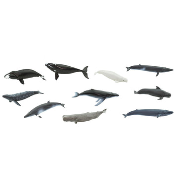 Safari Ltd. Whales TOOB - 10 Mini Plastic Whale Figurines for Kids, Ages 3+, Medium, Blue/Gray, Model 100072