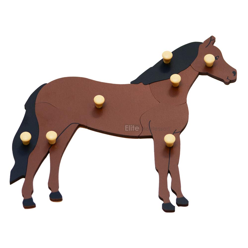 advanced Montessori Horse Puzzle Preschool Learning Material