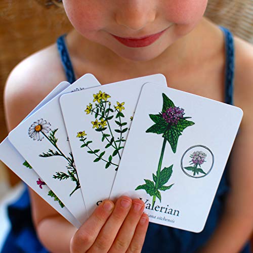 Wildcraft! An Herbal Adventure Game/Family Game: Cooperative Board Games For 4+ Year Olds Learn 25 Herbs – Coop Board Games/Educational Games W/Learning Tools, Incl. Plant Guide & Coloring Book