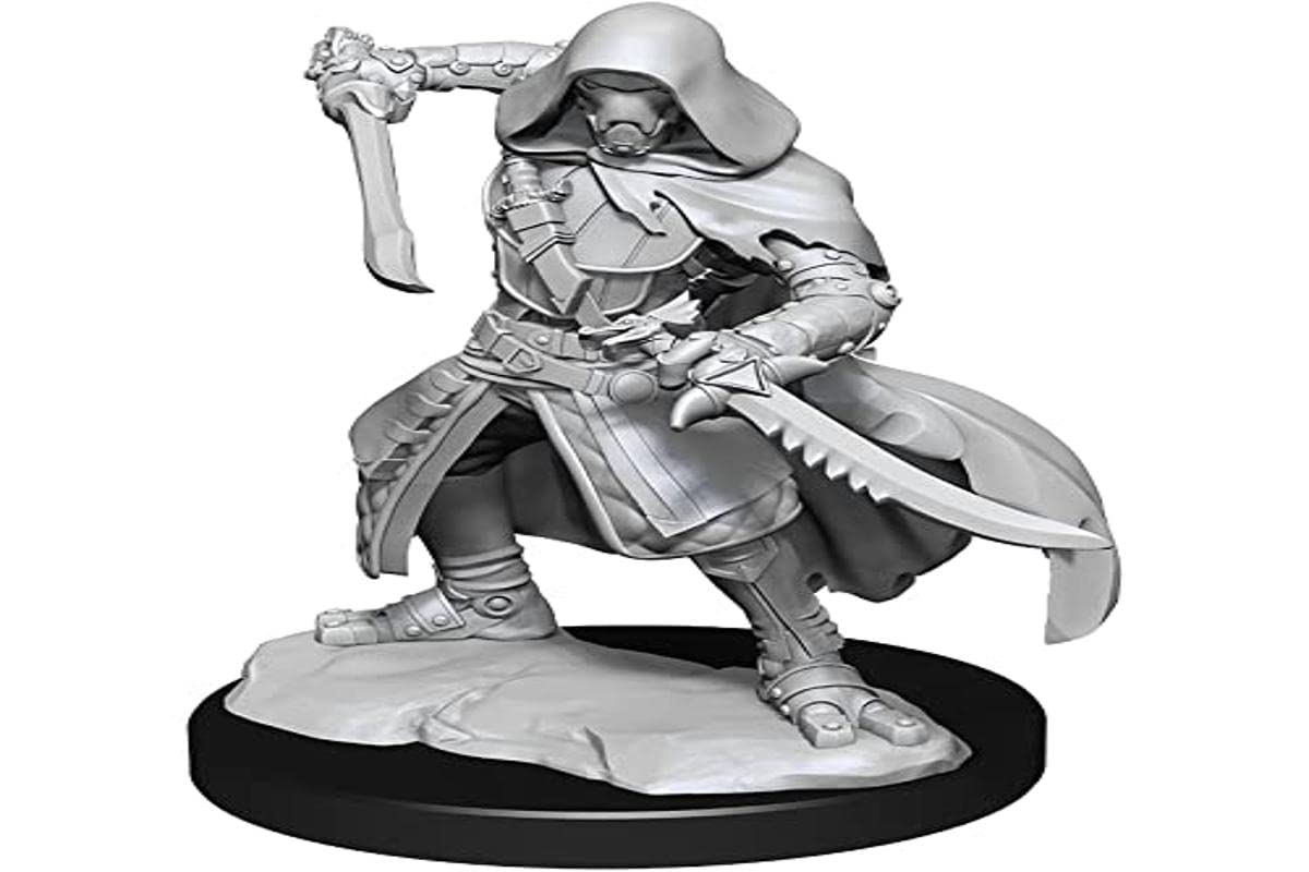 Wizkids/Neca D&D Nolzur'S Marvelous Unpainted Miniatures (W14) Warforged Rogue