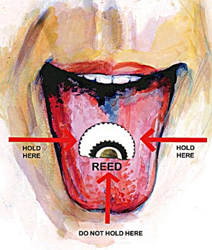 ChicRosa Bird Whistle 5 Pack - Swiss Warbler Magic Noisemaker in White & Black - Unique Tweeting Sounds for Outdoor Fun