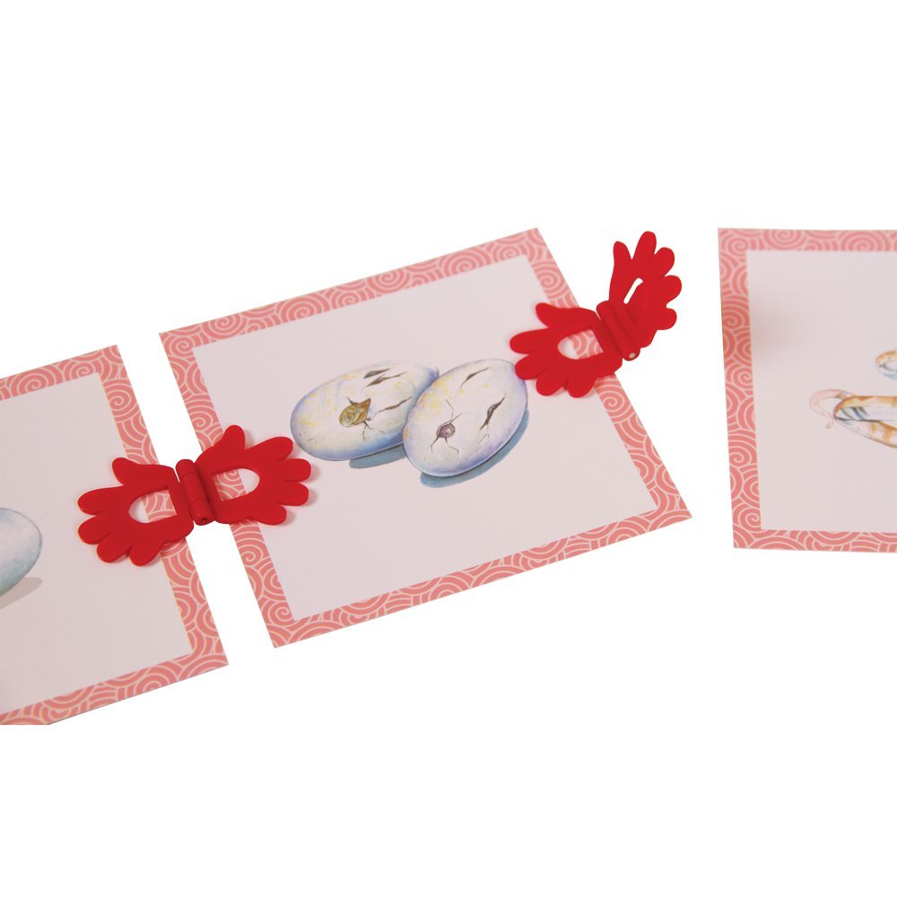 Hand2Mind Clip-Itz Life Cycle Card Set