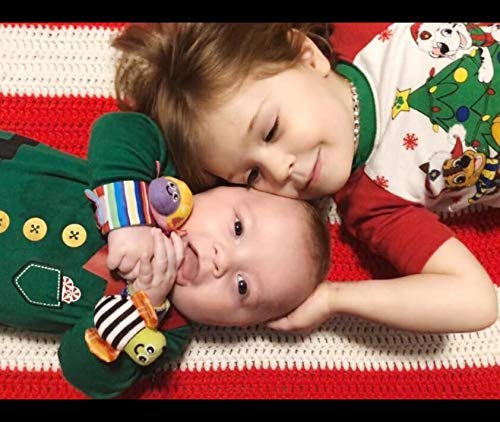 Bigib Baby Rattle Socks Toys for 3-12 Months - Multi Color Learning Toy, Model 43219-33572