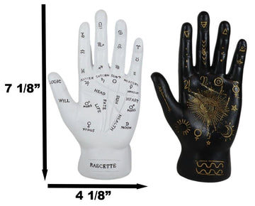 Ebros Gift Ancient Mystical Psychic Fortune Teller Chirology Palmistry Hand Palm With Lines And Symbols Figurine Decor Witchcraft Spiritual Divinity Statue For Palmists Readers (Black And White Set)