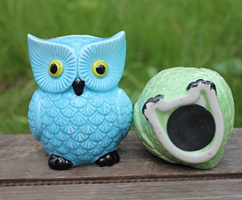 Zching Cute Owl Ceramic Piggy Bank Personalized Money Saving Bank For Kids Girls Nursery Gift Decor