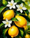 Tulip N Turtle Lemon Signature Series Tube Packing Ss 09 Diy Acrylic Paint By Number Kit For Adults Beginner Canvas Painting By