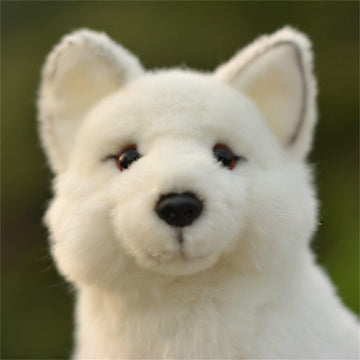 Tammyflyfly Arctic Fox Plush Toy 11 Inches, 28Cm, Soft Snow Queen Fox Stuffed Animal Doll (A-Sit)