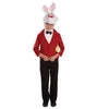 Fun Shack White Rabbit Kids Costume, Kids White Rabbit Costume Boys, White Rabbit Costume For Girls, Kids Rabbit Costume Kids, Large