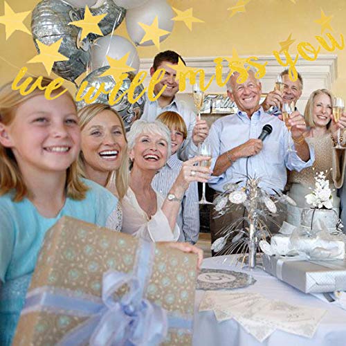Gold Glitter Graduation Banner We Will Miss You and Triangle Flag Banner Star Swirl Banner for Farewell Party Decorations Suppli