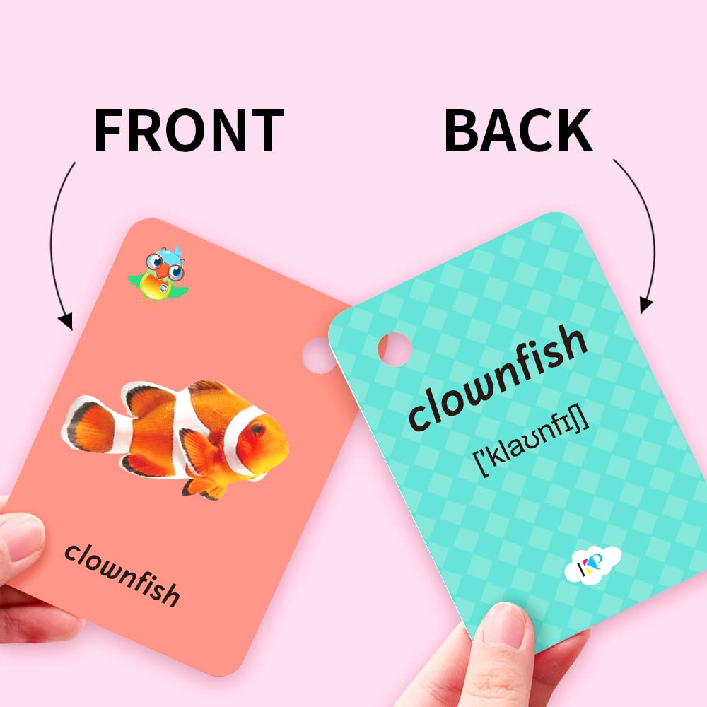 Kids Ocean Animal Flash Cards For Toddlers 2-4 Years,Toddler Marine Animals Flash Cards For Kids,Sight Words With Picture Cards