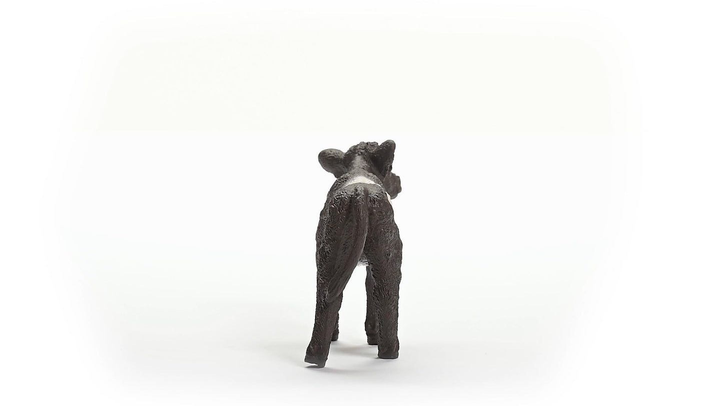 Schleich Farm World New 2024 Farm Animal Toy Galloway Calf Cow Figurine