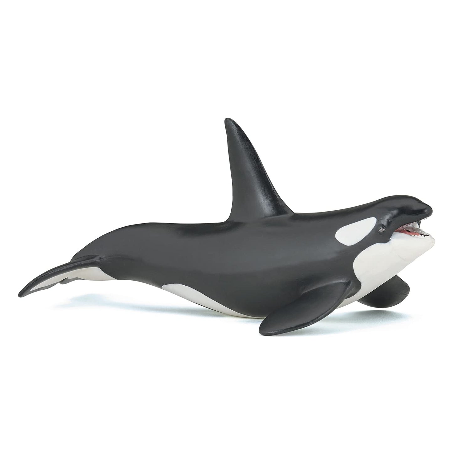 Papo - Hand-Painted - Figurine - Marine Life - Killer Whale Figure-56000 - Collectible - For Children - Suitable For Boys And Girls - From 3 Years Old