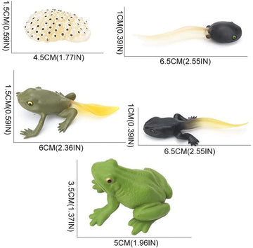 Gemini&Genius Life Cycle Of Frog Figurines, Bulk Insect Growth Diary Action Figures, Super Fun For Learning Gifts, Party Favors, Treasure Box Prizes, Goodie Bag Fillers, Family Fun