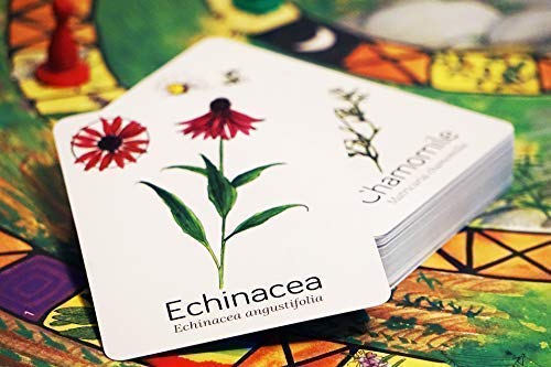 Wildcraft! An Herbal Adventure Game/Family Game: Cooperative Board Games For 4+ Year Olds Learn 25 Herbs – Coop Board Games/Educational Games W/Learning Tools, Incl. Plant Guide & Coloring Book