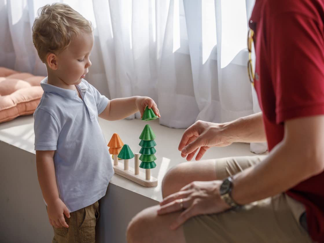 PlanToys Shape & Sort It Out