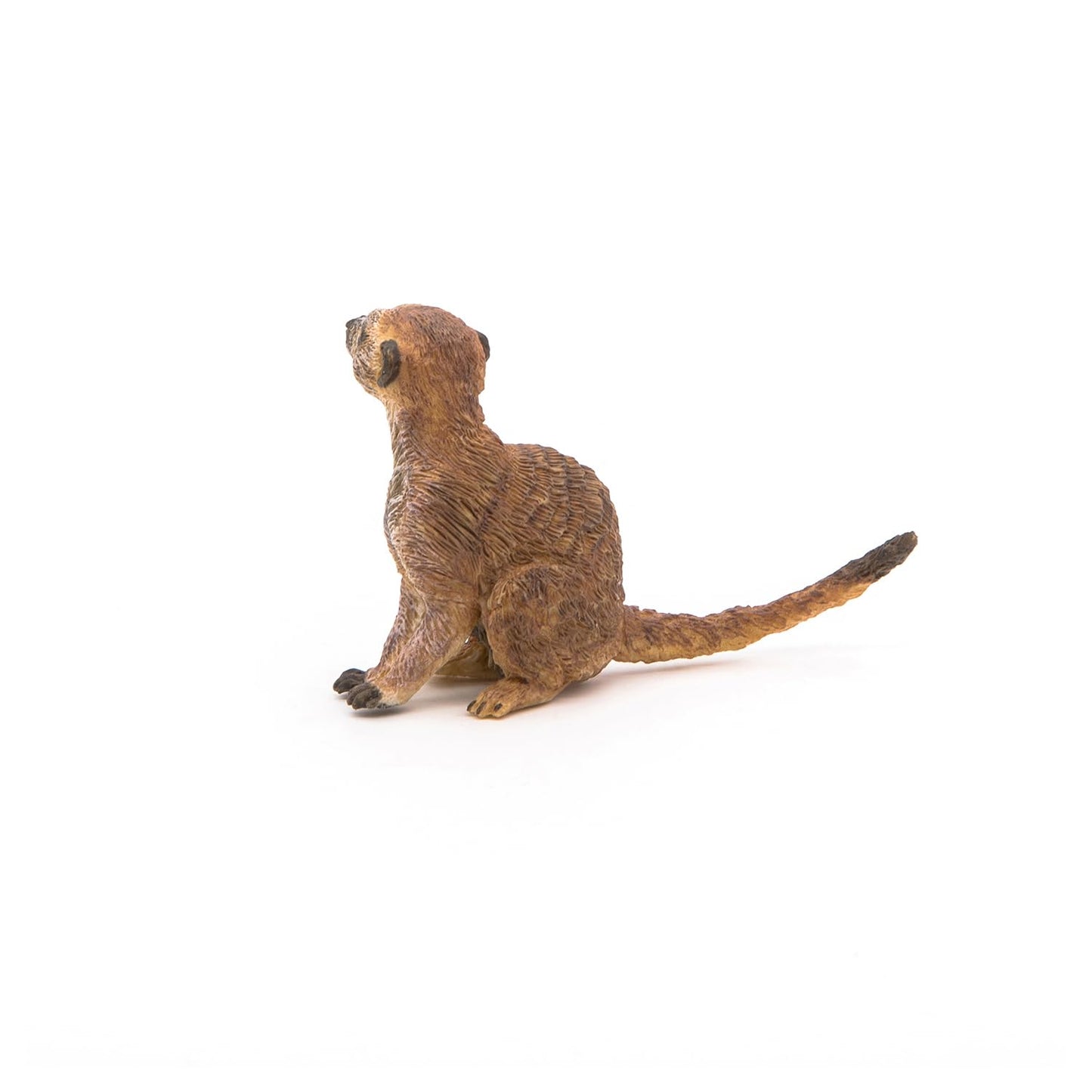 Papo -Hand-Painted - Figurine -Wild Animal Kingdom - Sitting Meerkat -50207 -Collectible - For Children - Suitable For Boys And Girls- From 3 Years Old