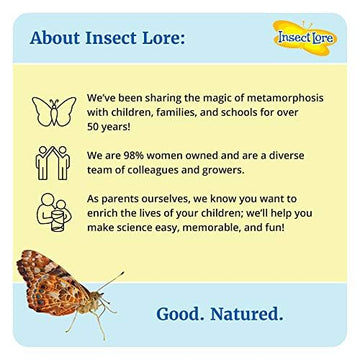 Insect Lore Cup Of Caterpillars | 5 Live Caterpillars For Butterfly Garden | Refill For Painted Lady Butterfly Kit | Stickers & Chrysalis Log | Stem Learning Activity