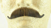 European Moustache Medium Brown - Spirit Gum Included! - 100% Human Hair - No. 2012 - Realistic! Perfect For Theater - Reusable!