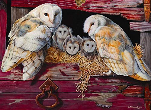 Cobble Hill Barn Owls 1000 Piece Jigsaw Puzzle
