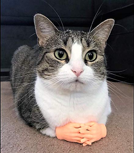 Finger Hands - 20 Pack - enhanced Rubber Little Tiny Finger Hands - Fun and Realistic Design - Ideal for Puppet Show Gag Present Fun for All Kids!