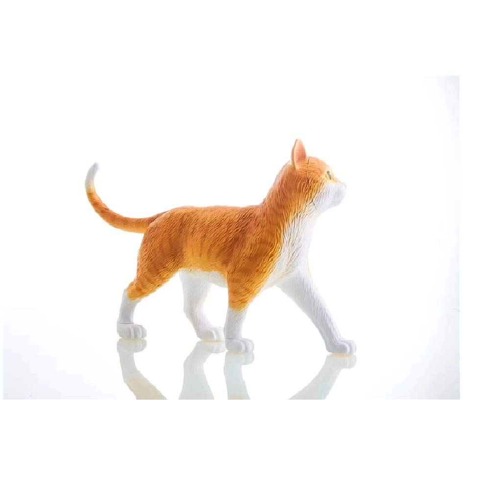 4D Vision Orange Tabby Cat Skeleton & Anatomy Model Kit