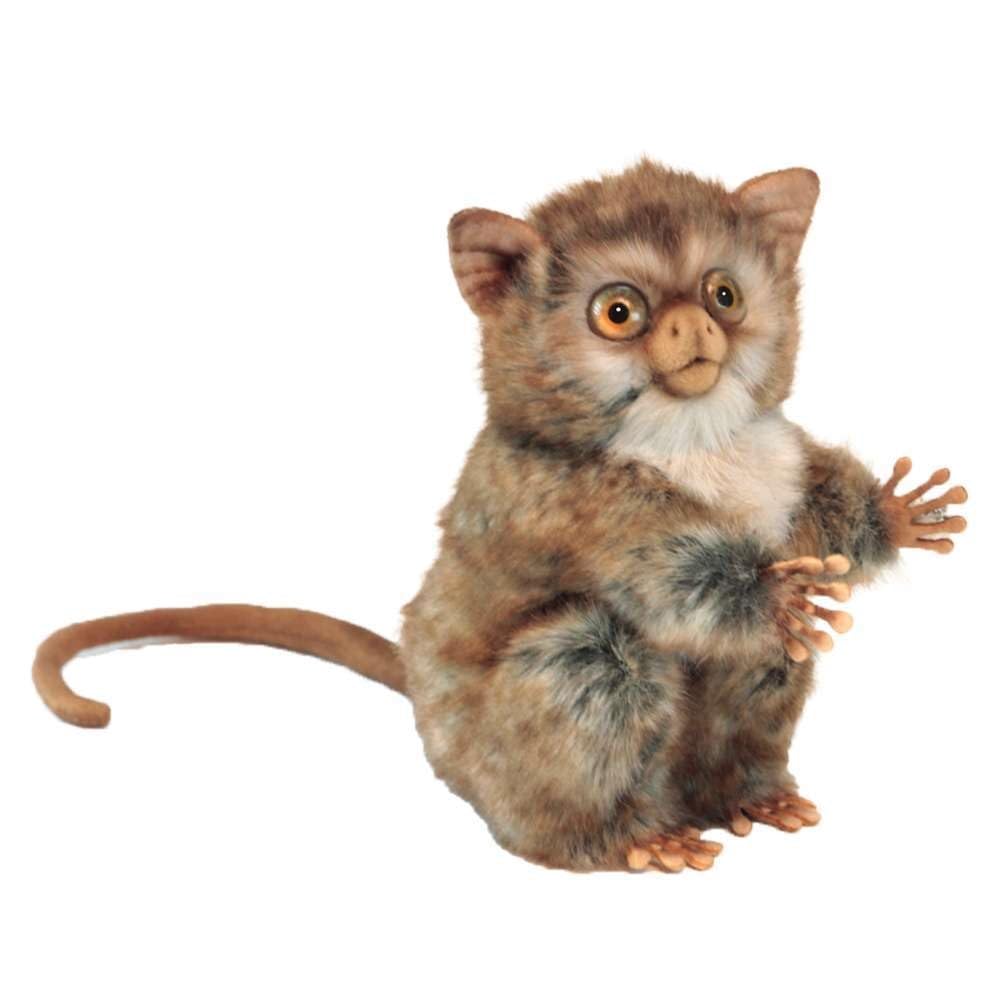 Hansa - Tarsier