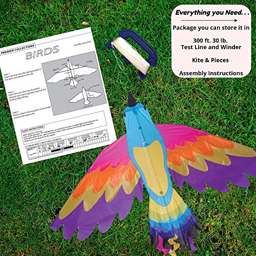 Premier Kites Paradise Bird Kite Are Great Kites For Adults And Easy To Fly Kites For Kids | A Large Kite With A 70 Inch Wingspan And A 36 Inch Body With Bold Colors And Detailed Applique Work