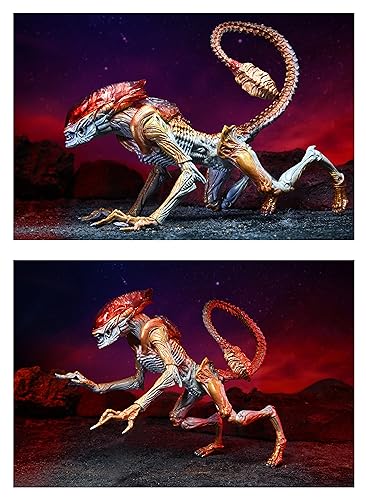 Aliens - 7' Scale Action Figure - Ultimate Kenner Tribute Panther Alien