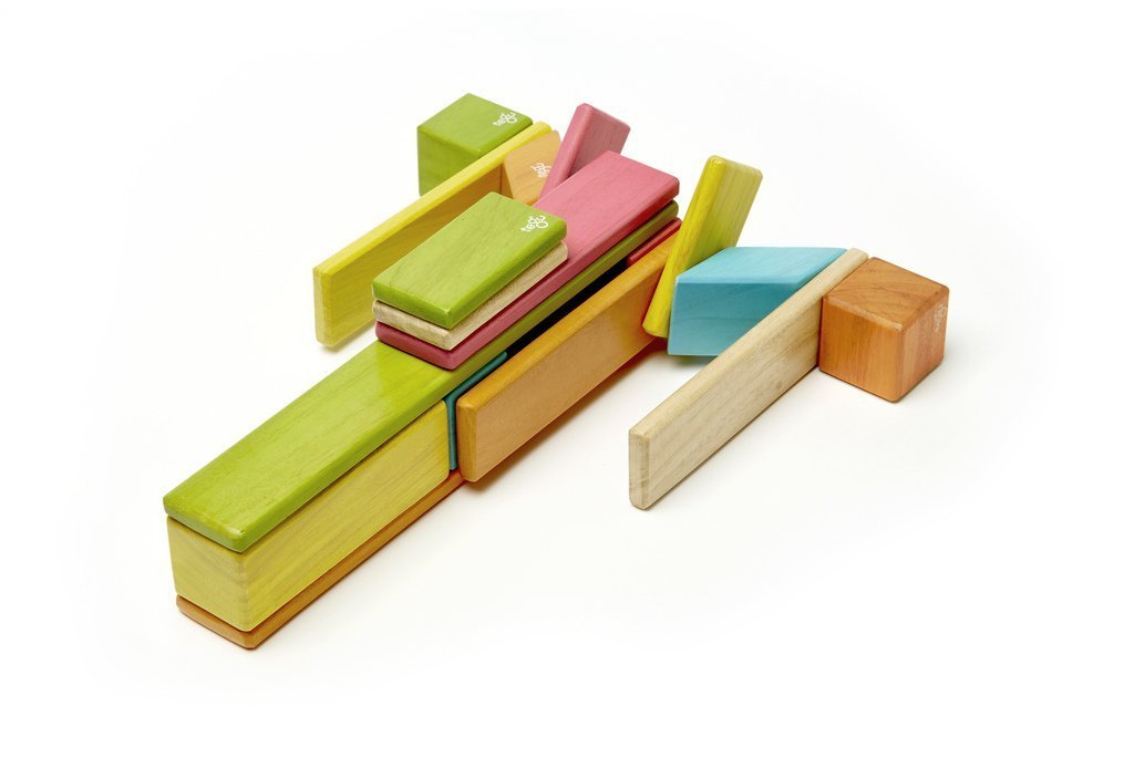 Magnetische Houten Blokkenset - 24 Stuks - Tints