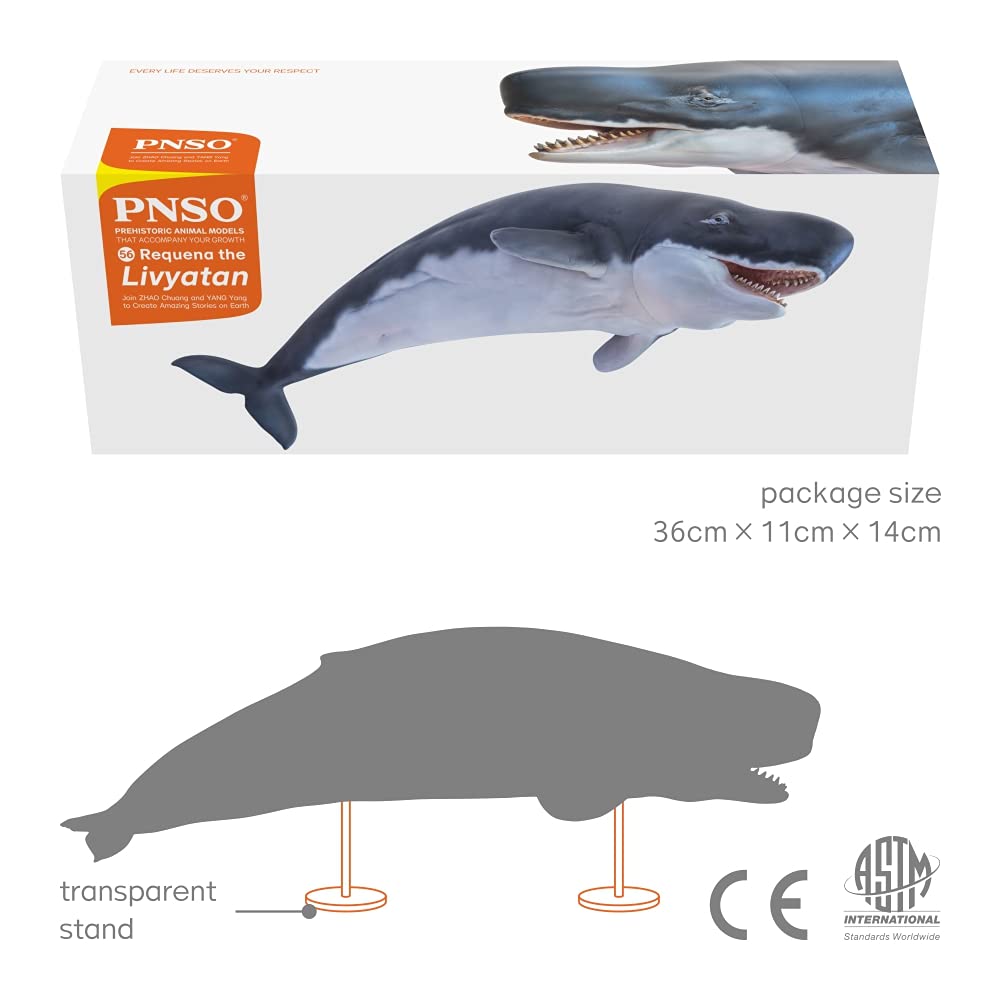 PNSO Prehistoric Animal Model - Livyatan (56Requena) - Plastic - 3.34 Inch - Patton the Megalodon (Big White Shark) 13"