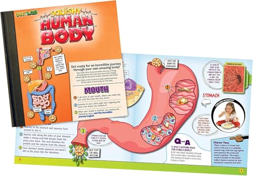 SmartLab Squishy Human Body Toy - 21 Removable Parts, Anatomy Book, Standard Size, Multicolor, Model 06428